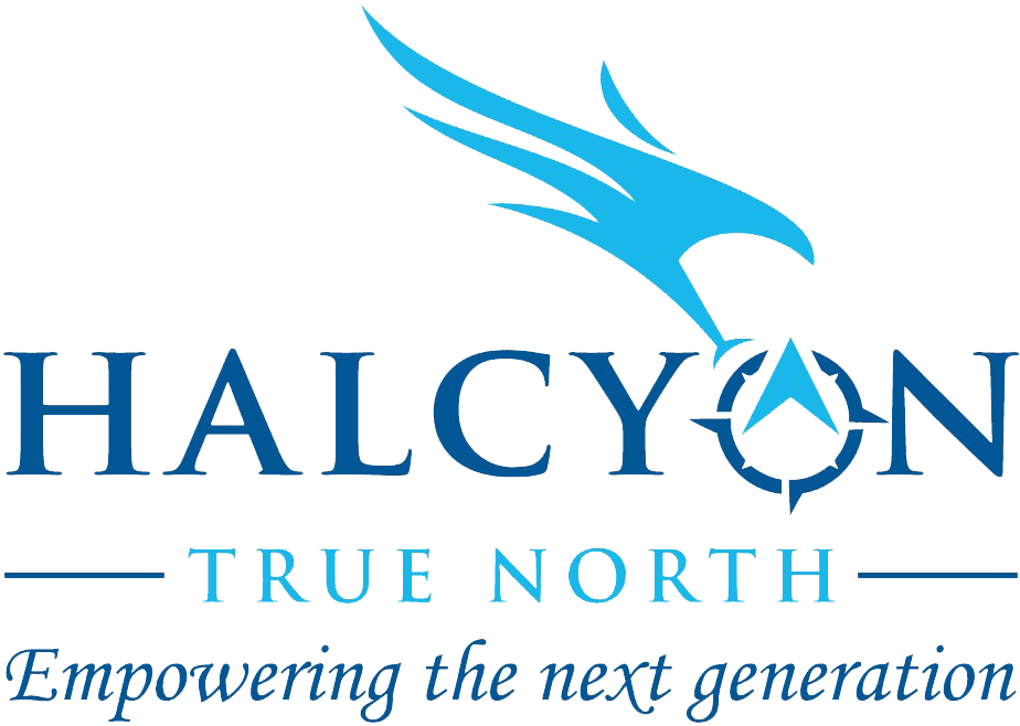 Halycon True North