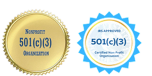 Halcyon Group International Logo