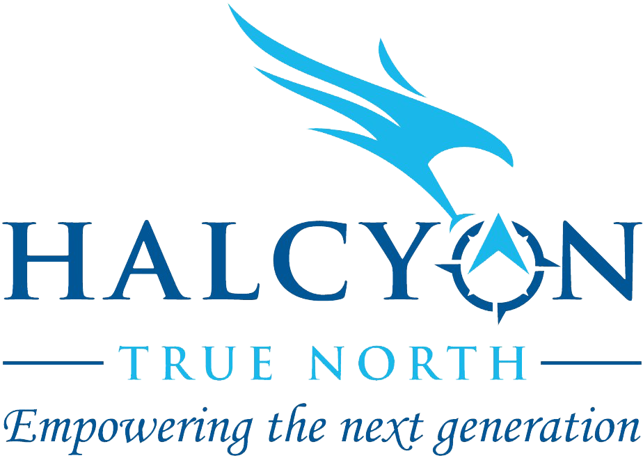 Halcyon True North Logo